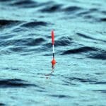 Секреты мастеров: лучшие рецепты прикормки для фидера