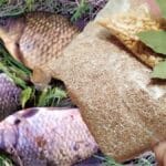 На що клює карась у травні: топ-5 наживок, від яких він божеволіє