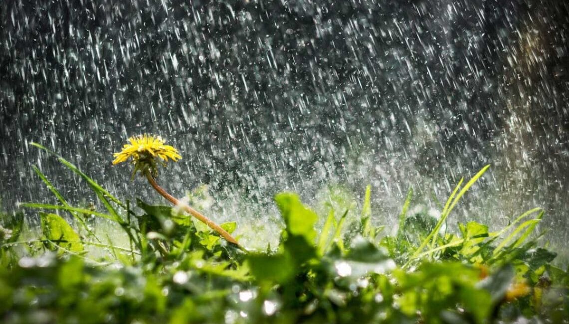 Погода в Україні - прогноз кльову риби з 28 квітня по 4 травня 2025 року