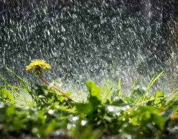 Погода в Україні - прогноз кльову риби з 28 квітня по 4 травня 2025 року