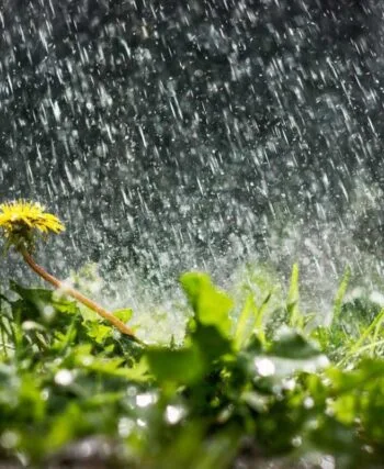 Погода в Україні - прогноз кльову риби з 28 квітня по 4 травня 2025 року