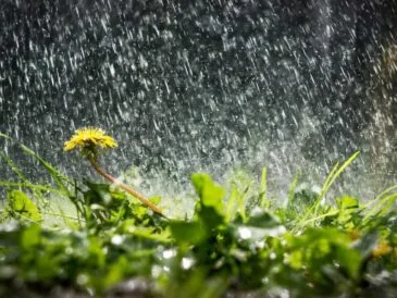 Погода в Україні - прогноз кльову риби з 28 квітня по 4 травня 2025 року