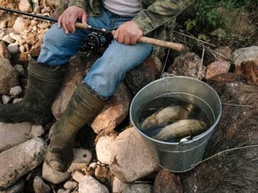 Бюджетна риболовля - реальність: лайфхаки для економії на риболовлі