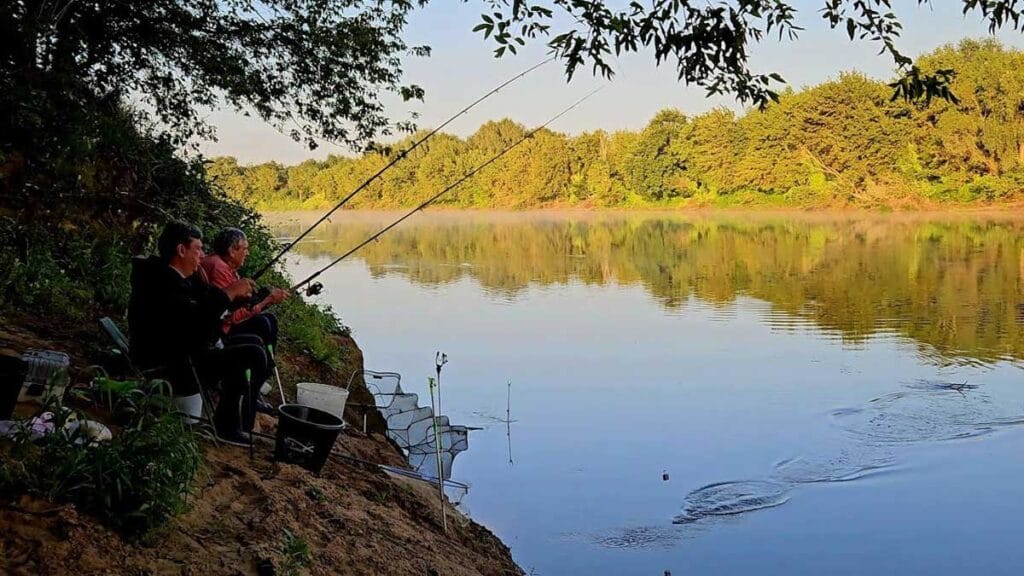 Які снасті вибрати для риболовлі на Дніпрі?