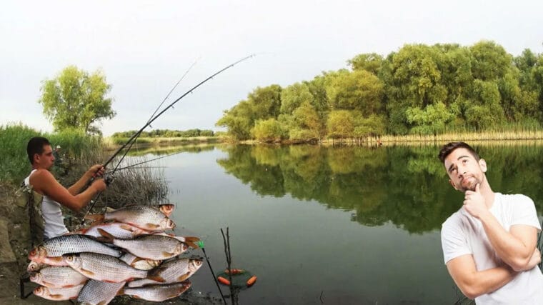 Де риба? Ловля без ехолота: 5 природних орієнтирів