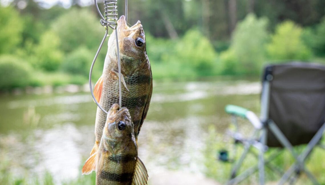 Погода в Україні - прогноз кльову риби 5 - 11 травня 2025