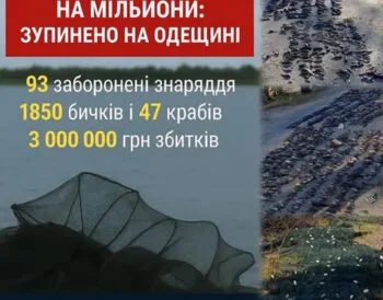 В Одесской области выявили браконьеров с уловом на миллионы