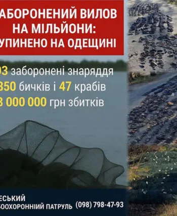 В Одесской области выявили браконьеров с уловом на миллионы