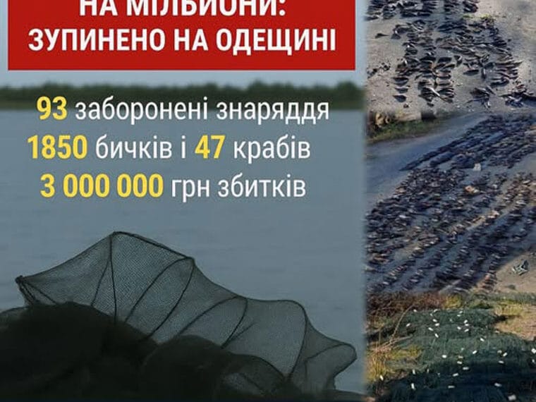 В Одесской области выявили браконьеров с уловом на миллионы