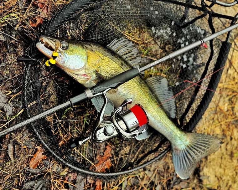 Весняний судак на мандулу