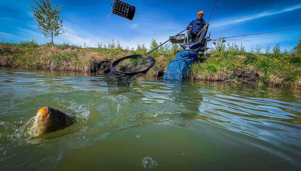 Що додати в прикормку на фідер у травні, щоб кльов розпочався за 10 хвилин