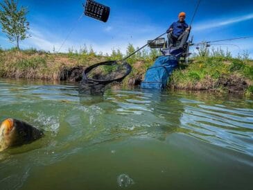 Що додати в прикормку на фідер у травні, щоб кльов розпочався за 10 хвилин