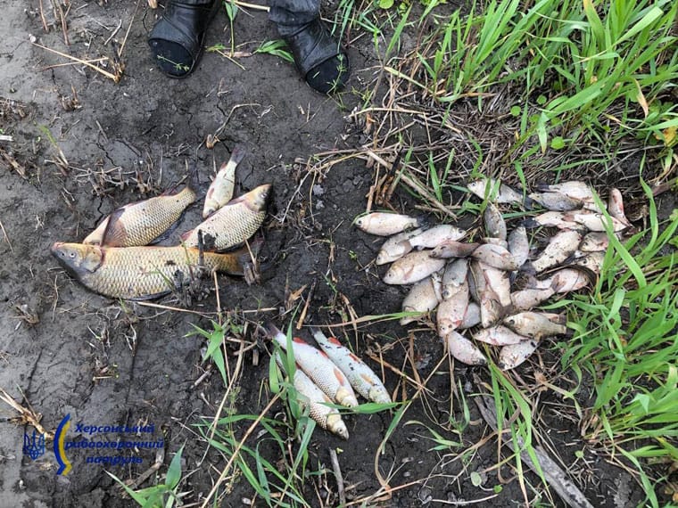 Херсонський рибоохоронний патруль припиняє порушення в період нересту
