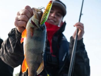 Нова розробка Salmo: приманка Rattlin' Stick для ефективного поверхневого лову