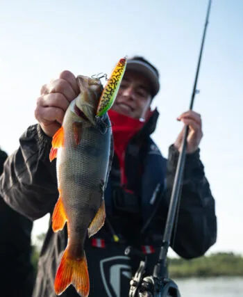 Нова розробка Salmo: приманка Rattlin' Stick для ефективного поверхневого лову