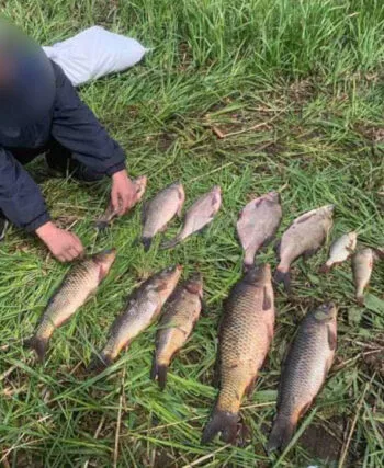 Браконьєрство на Полтавщині: порушників затримано, збитки - понад 245 тисяч гривень