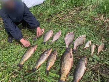 Браконьєрство на Полтавщині: порушників затримано, збитки - понад 245 тисяч гривень