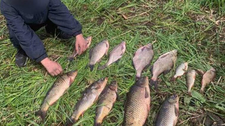 Браконьєрство на Полтавщині: порушників затримано, збитки - понад 245 тисяч гривень