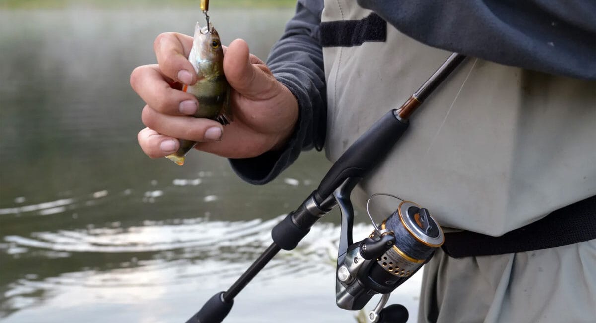 Прогноз кльову риби на тиждень 20 - 27 травня 2025: погода в Україні