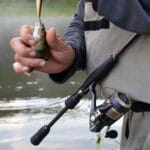 Місячний календар рибалки на червень 2025: коли та яку рибу ловити