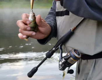 Прогноз кльову риби на тиждень 20 - 27 травня 2025: погода в Україні