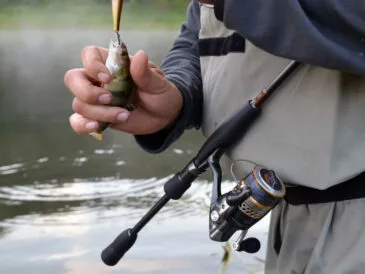 Прогноз кльову риби на тиждень 20 - 27 травня 2025: погода в Україні