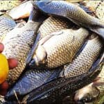 Дальнє закидання без помилок: як ловити ляща на 60+ метрів