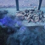 Ловля щуки в июне 2025: лучшие дни, места, снасти, тактика ловли