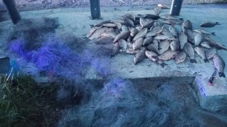 Незаконний вилов на Південному Бузі: рибалка заплатить понад 115 тис. грн