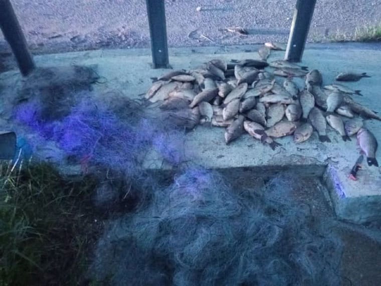 Незаконний вилов на Південному Бузі: рибалка заплатить понад 115 тис. грн