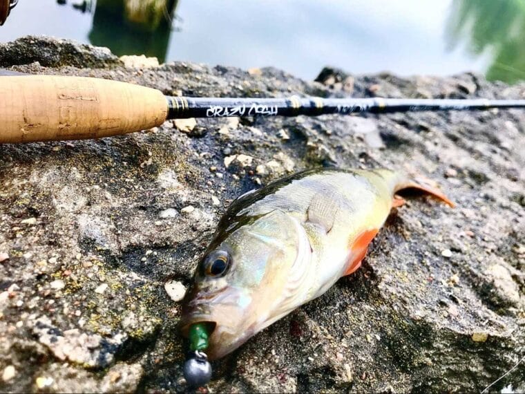 Спінінг Crazy Fish Arion ASR742ULS: огляд, досвід і висновки