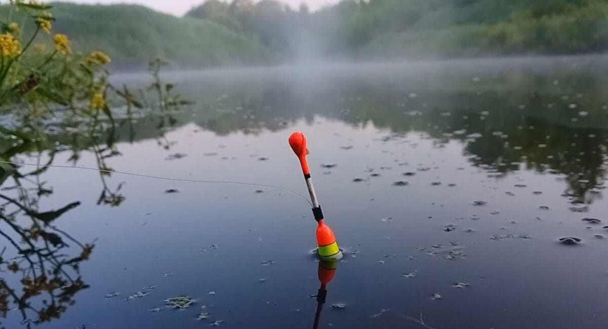 Прогноз кльову риби на тиждень 26 травня - 1 червня 2025: погода в Україні