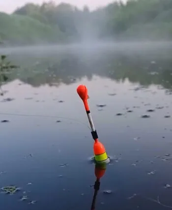 Прогноз кльову риби на тиждень 26 травня - 1 червня 2025: погода в Україні