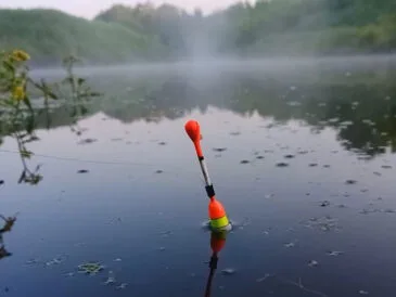 Прогноз кльову риби на тиждень 26 травня - 1 червня 2025: погода в Україні