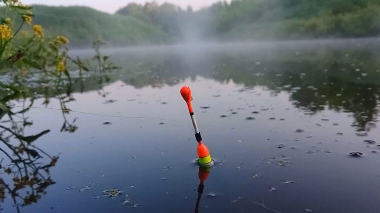 Прогноз кльову риби на тиждень 26 травня - 1 червня 2025: погода в Україні