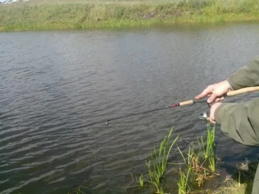 Спінінгова риболовля: проводка "сходинкою" по бровках і ямах