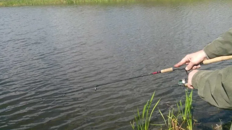 Спінінгова риболовля: проводка "сходинкою" по бровках і ямах