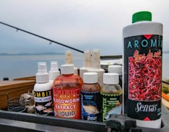 Риболовля на фідер у червні: ароматизатори, які приваблюють рибу
