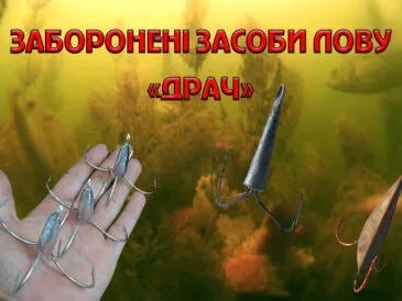 Названо найпоширеніше порушення Правил рибальства в Україні
