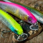 Секреты прикормки линя по Сабанееву: рецепты с червями и творогом