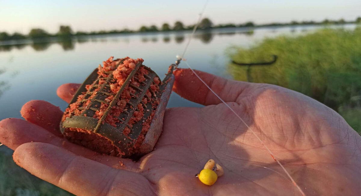 Яку прикормку та наживку найкраще використовувати для карася на фідер