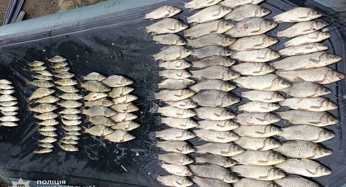 Браконьєри на Миколаївщині завдали збитків на 300 тисяч гривень