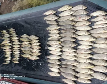 Браконьєри на Миколаївщині завдали збитків на 300 тисяч гривень