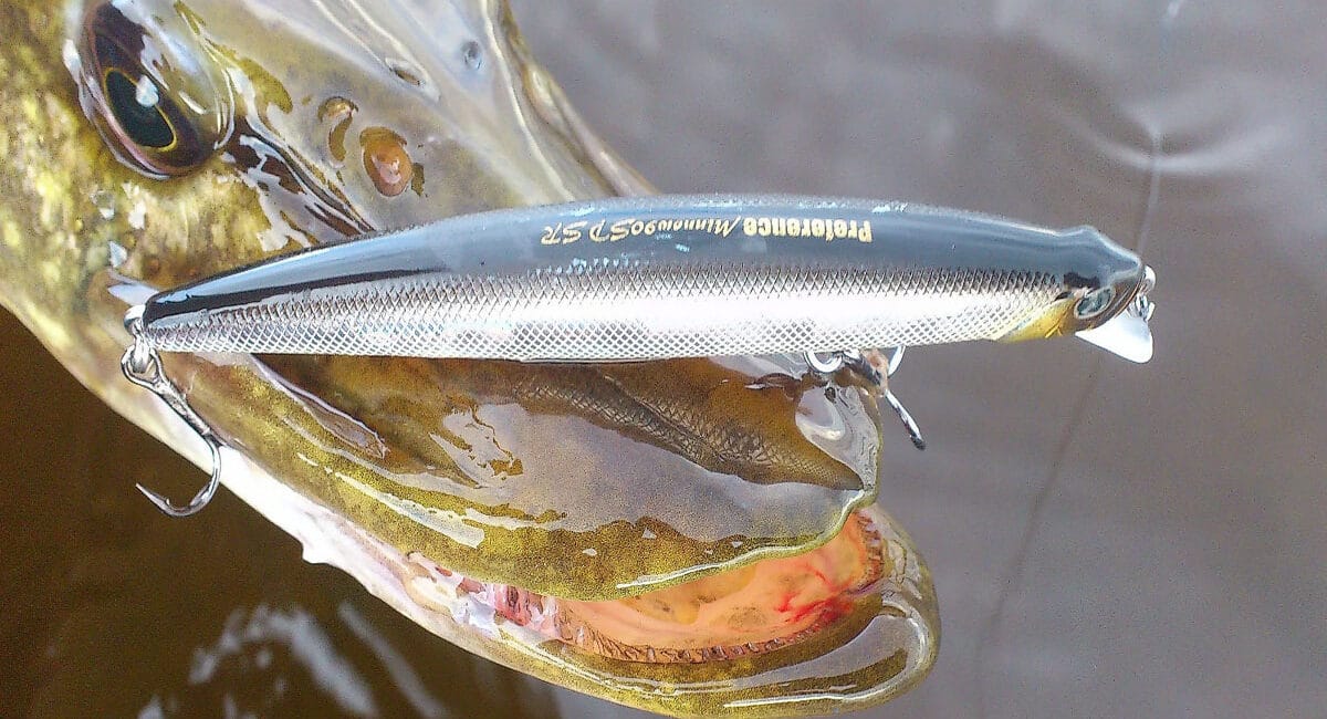 Ловля щуки на великі воблери: експерти дали поради щодо вибору приманок