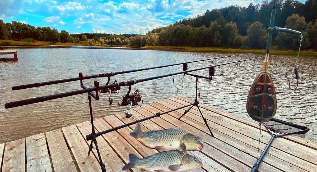 Ловля коропа на платних водоймах України