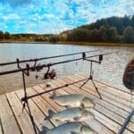 Тягаю “горбачів” вудкою на живця прямо в коряжнику: точковий підхід до трофеїв