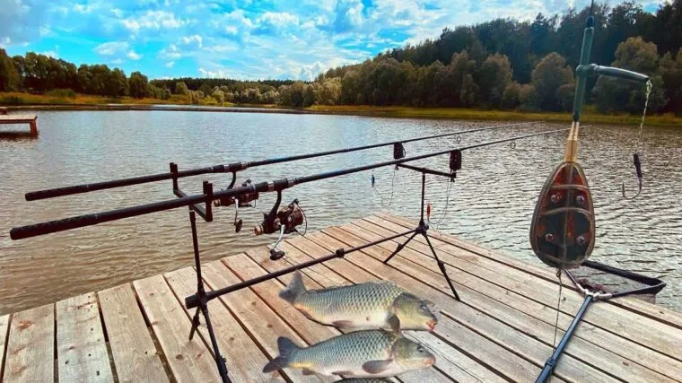 Ловля коропа на платних водоймах України