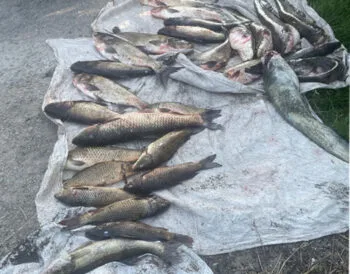 У Запоріжжі вилучили 80 кг риби у браконьєра: сітки та улов під арештом