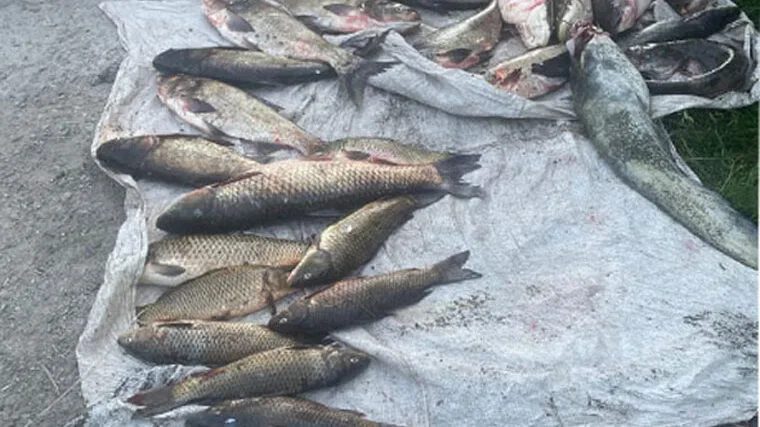 У Запоріжжі вилучили 80 кг риби у браконьєра: сітки та улов під арештом