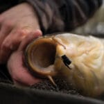 Браконьєр на Сумщині “наловив” кримінальну справу: збиток понад 171 тис. грн